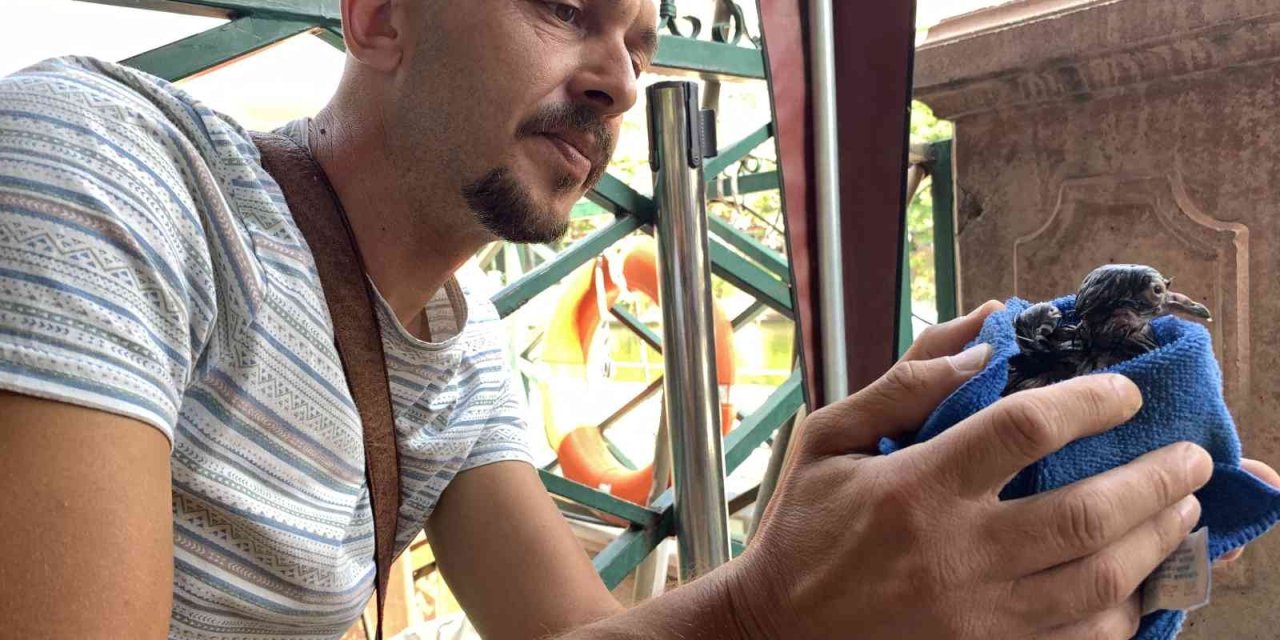 Gondol Bu Kez Minik Can İçin Hareket Etti