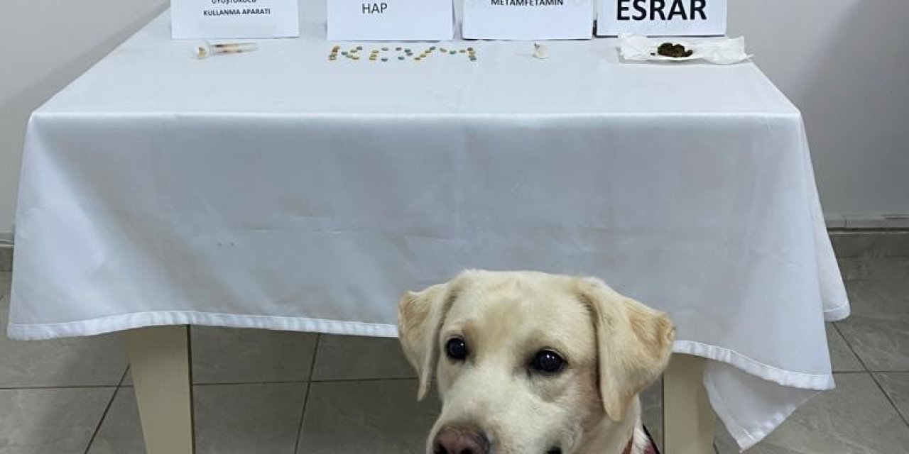 Alanya’da Jandarmanın Durdurduğu Araçta Uyuşturucu Madde Ele Geçirildi