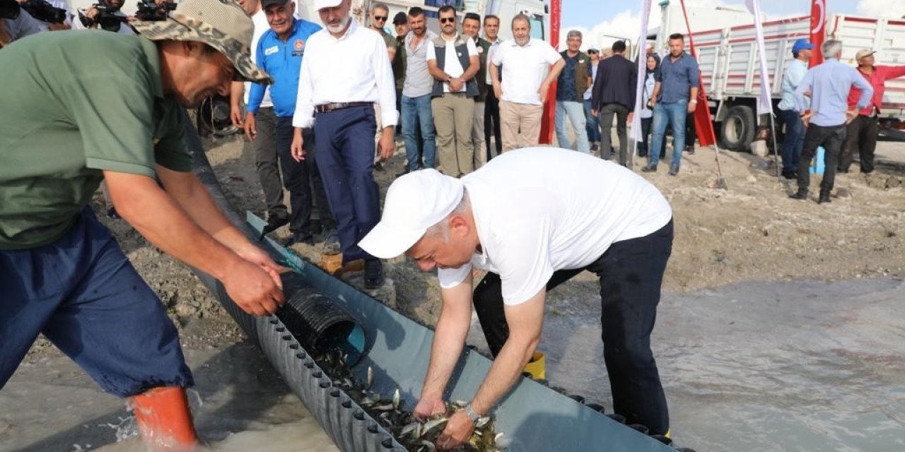 Kayseri’de 2 Milyon Yavru Sazan Balığı Sularla Buluşturuldu