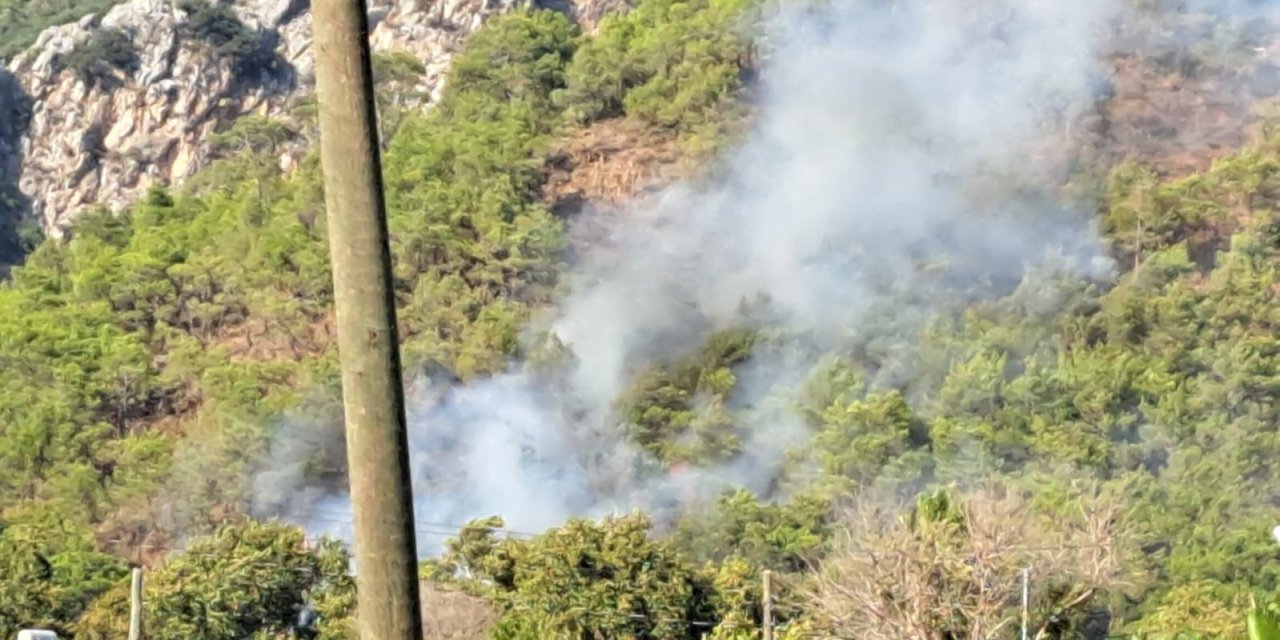 Antalya Adrasan’da Orman Yangını