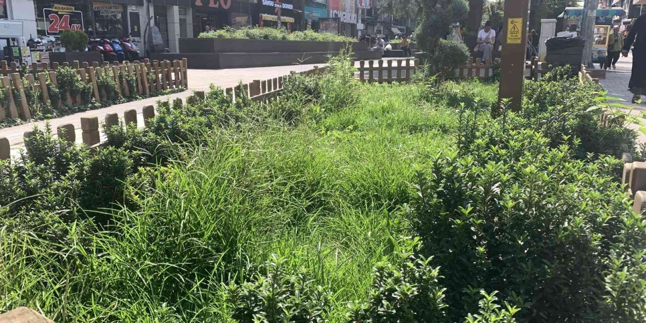 Hamamyolu’ndaki Bu Alanlar Bakım Bekliyor