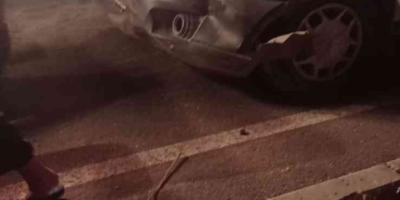 Ambulansın Çarptığı 20 Koyun Telef Oldu