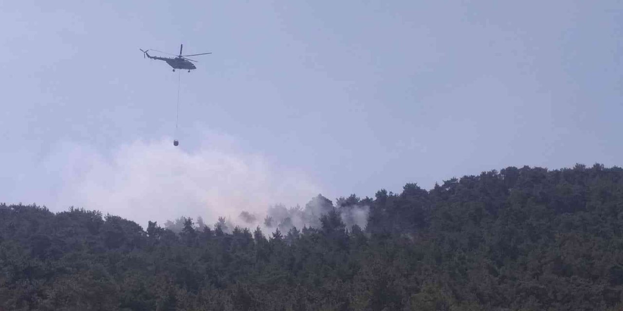 Şimşekler Orman Yangını Çıkardı