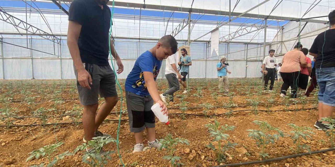 Otizmli Gençler Domates Serasına Faydalı Böcek Bıraktı