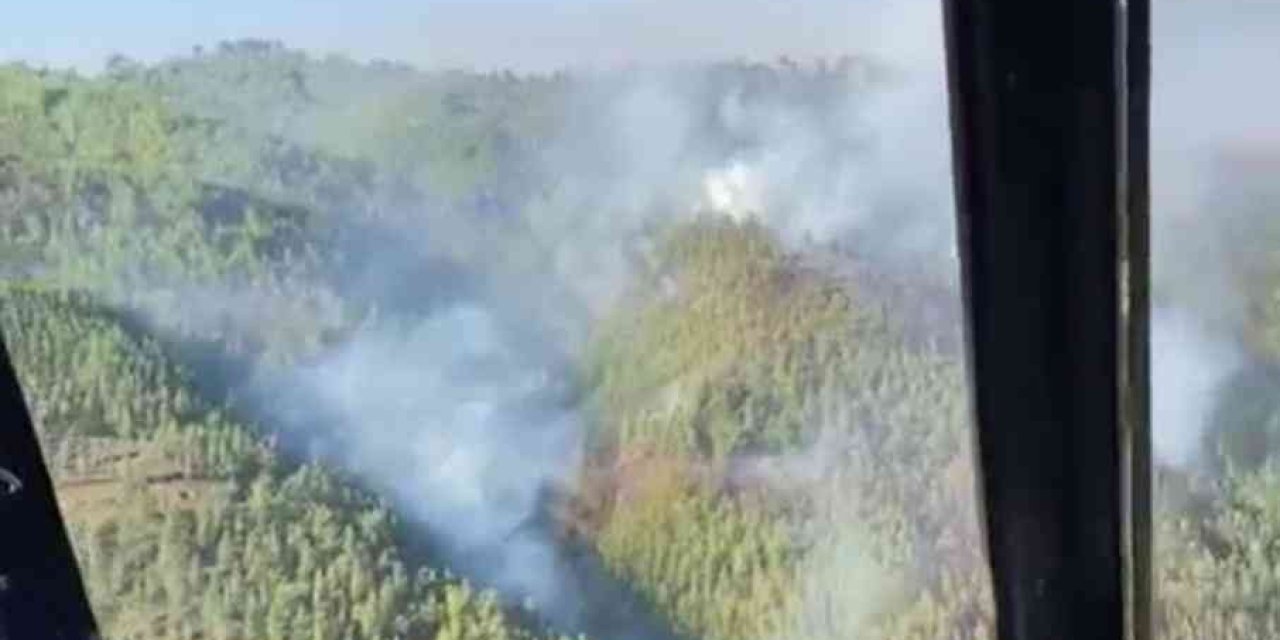 Alanya’da Orman Yangını