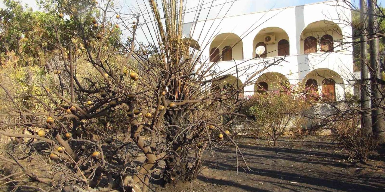 Mersin’deki Orman Yangınlarına Müdahale Sürüyor