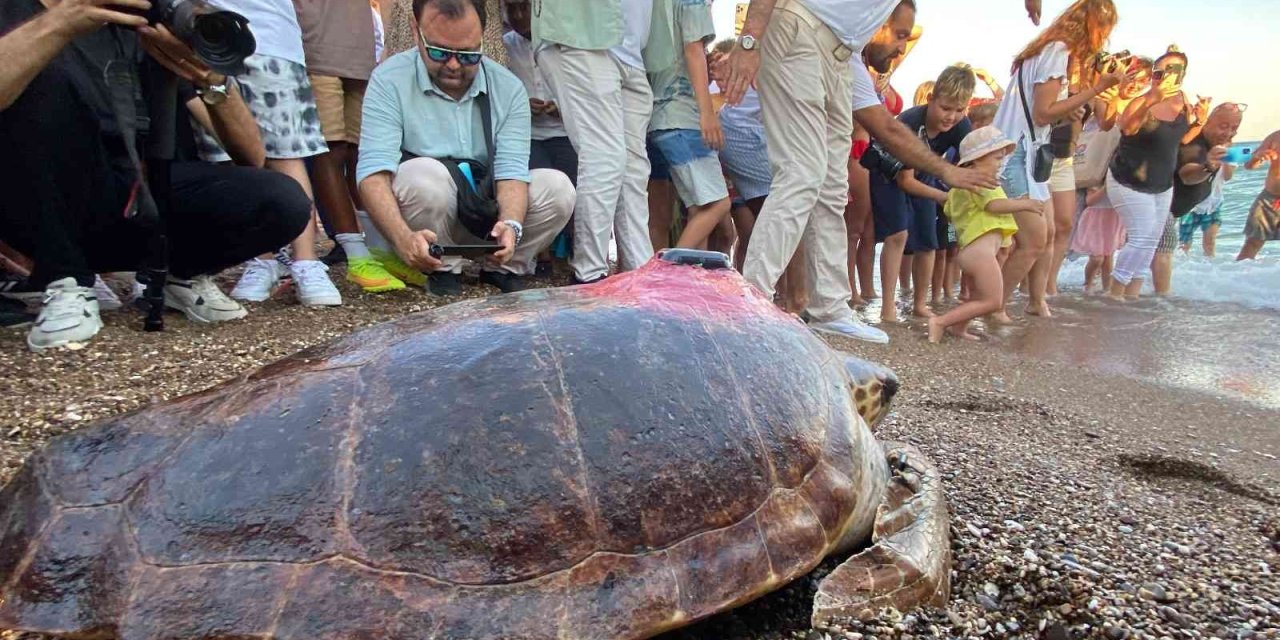 Caretta Caretta ’lara Barış’ın 600 Kilometrelik Yolculuğunu 29 Bin Kişi Görüntüledi