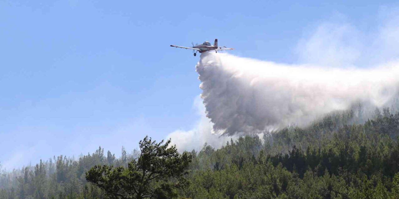Alanya’daki Orman Yangını Kontrol Altına Alındı