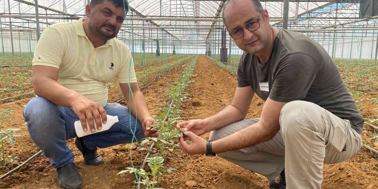 Biyolojik Mücadeleyle Üretilen Ürünler Daha Sağlıklı