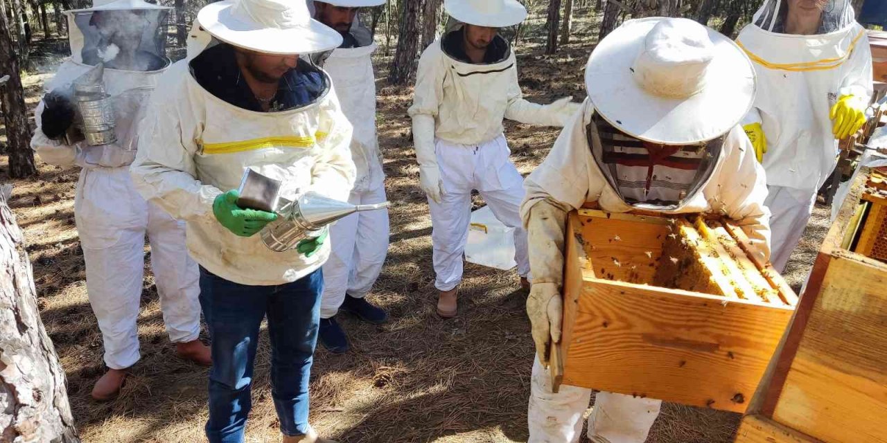 Ziraat Öğrencilerinin Uygulamalı Eğitim Aldığı Kovanlarda Verim Bu Yıl 300 Kiloyu Aşacak