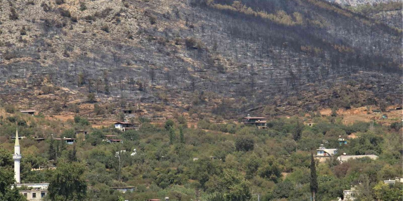 Mersin’deki Orman Yangını, Küle Dönen Bölge Havadan Görüntülendi