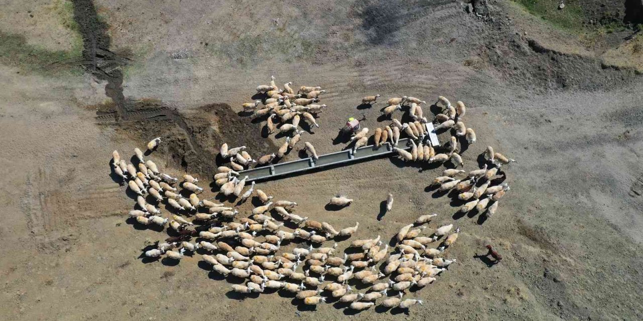 Konya Büyükşehir’in Hazırladığı Sıvatlar Hayvanlar İçin Can Suyu Oluyor