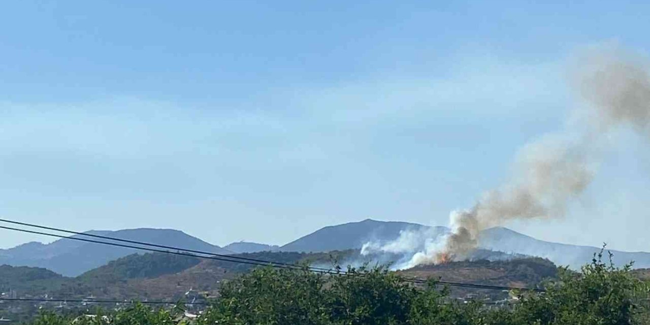 Mersin’de Orman Yangınına Müdahale Ediliyor