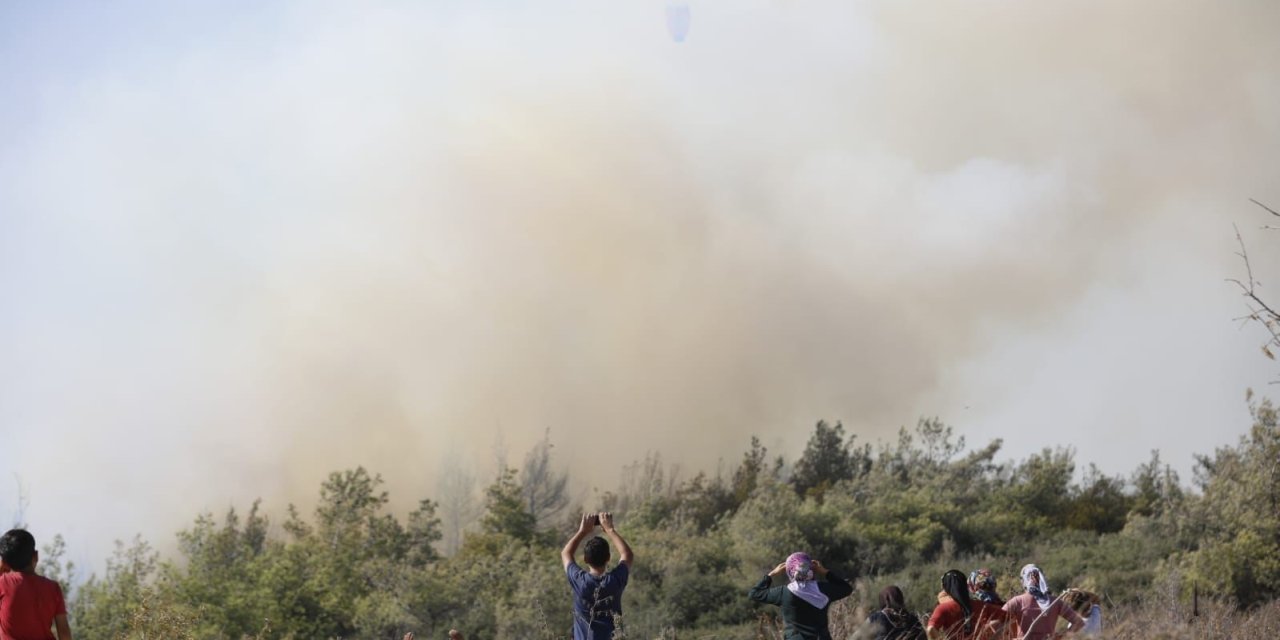 Mersin’deki Orman Yangını Kontrol Altına Alındı