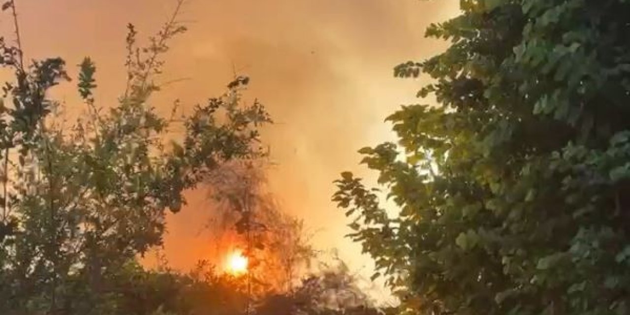 Antalya’da Plaja Yakın Bölgede Çıkan Yangın Korkuttu