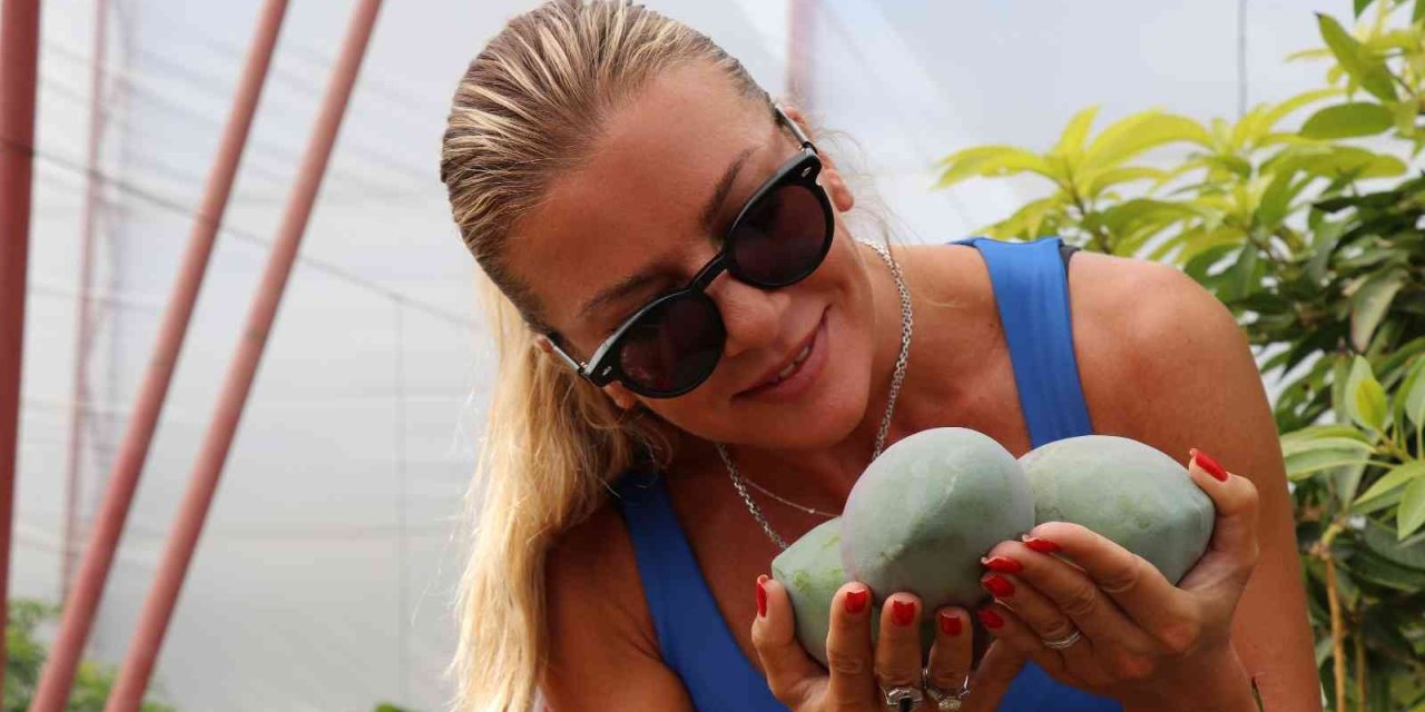 Antalya’da Yılın İlk Mango Hasadı Ivana Sert’ten