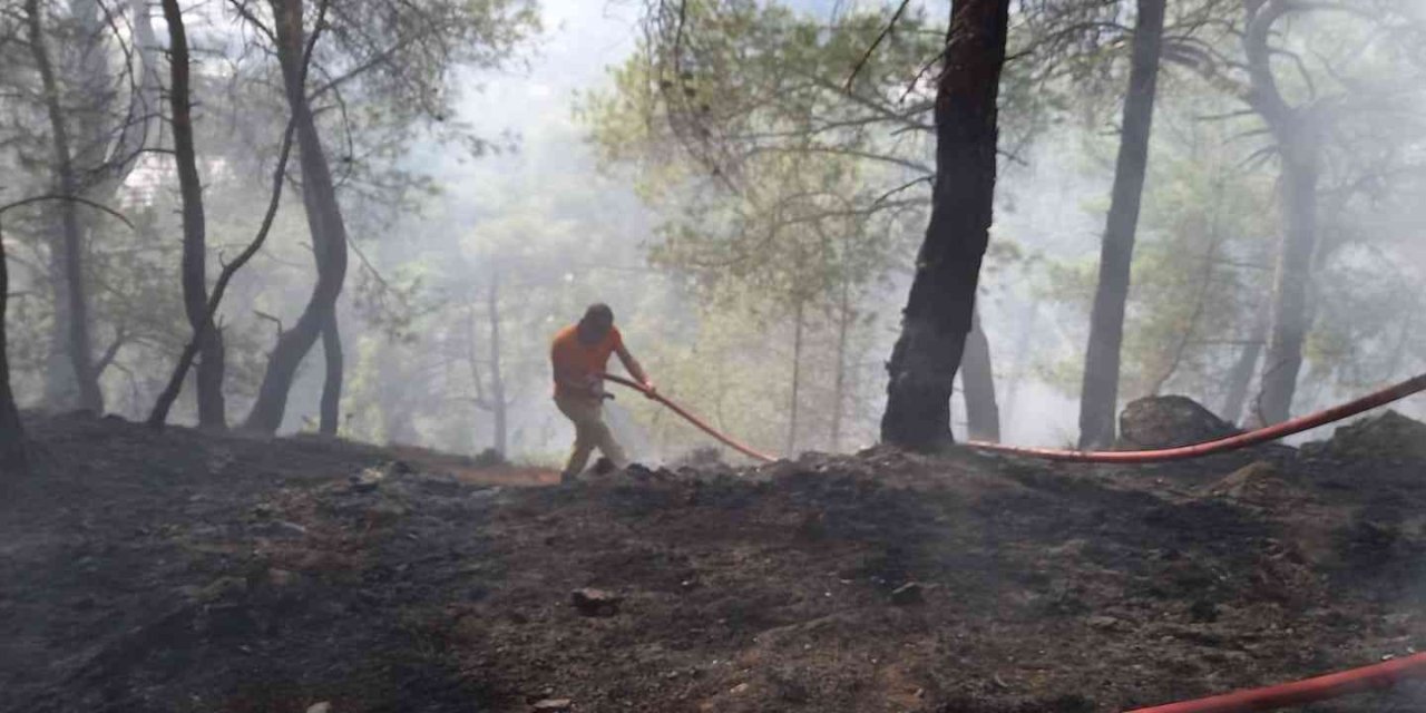 Antalya’da Çıkan Orman Yangını Kontrol Altına Alındı