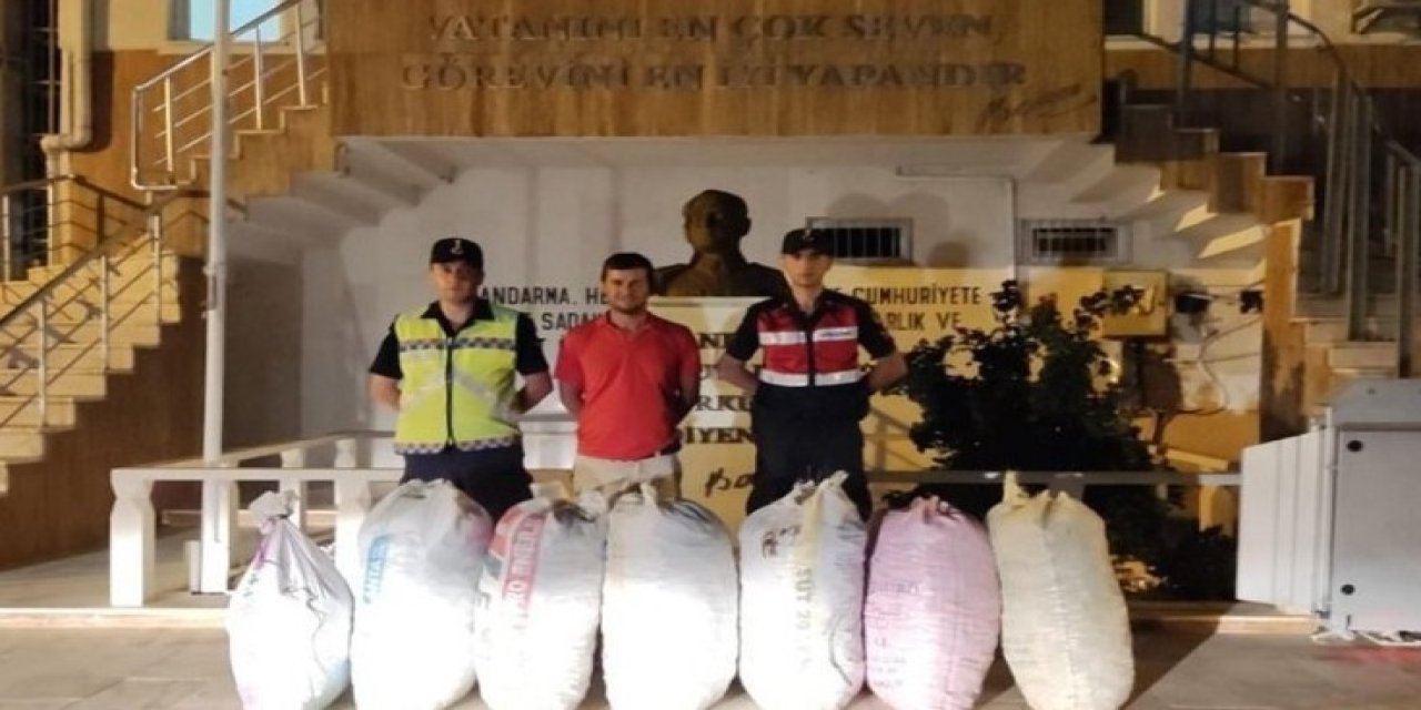 Demre’de 7 Çuval Keçiboynuzu Çalan Şüpheliler Yakalandı
