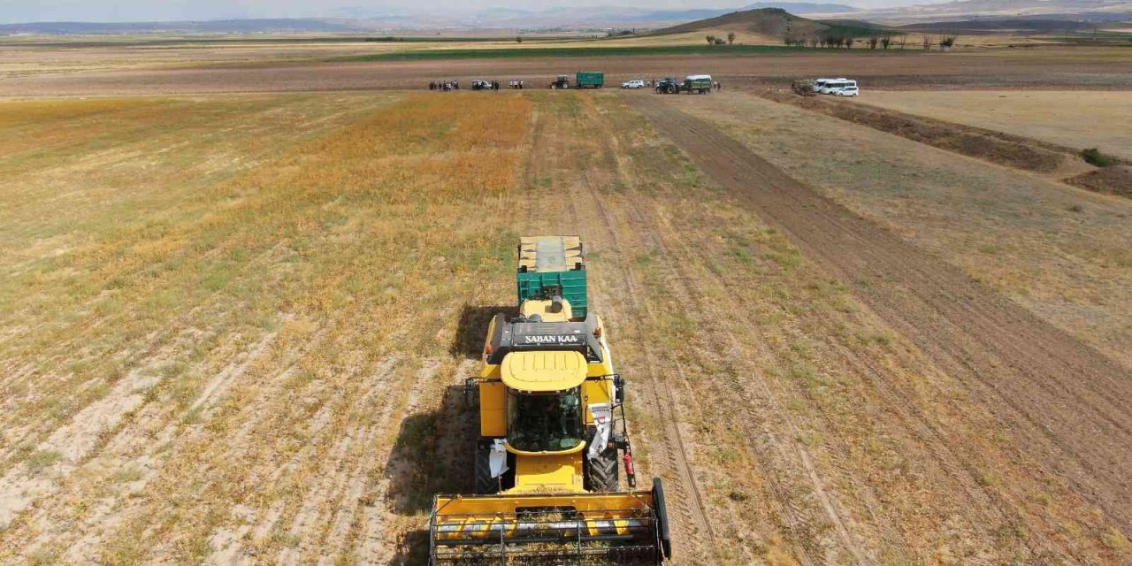 Okuldaki Bilginin Tarlada Hasadı Yapıldı