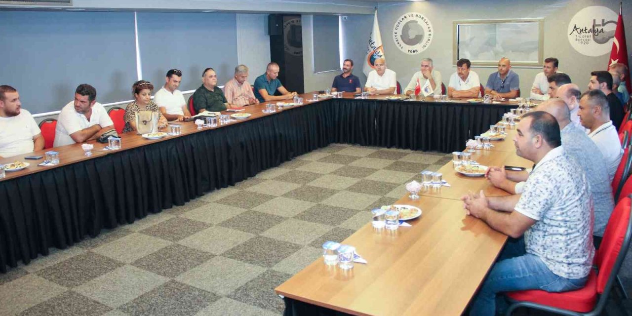 Zeytin Bu Yıl Yüz Güldürüyor