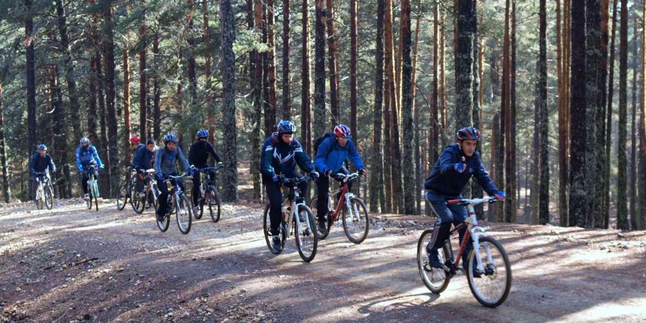 Ormanlara Giriş Yasağı Yarın Kalkıyor