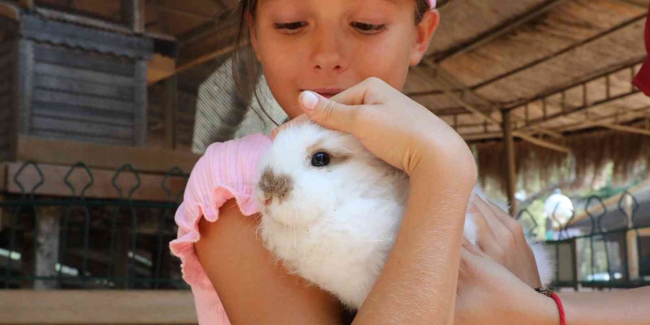 Savaş Mağduru Ukraynalı Çocukların Hayvanat Bahçesi Keyfi