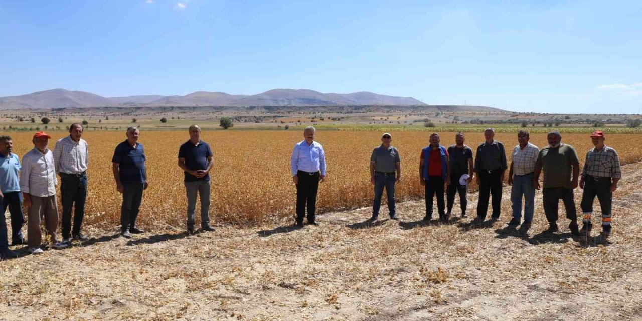 Başkan Dr. Palancıoğlu: “bölge Tarımına Destek; Aspir Tohumları Hasat Edilmeye Başlandı”