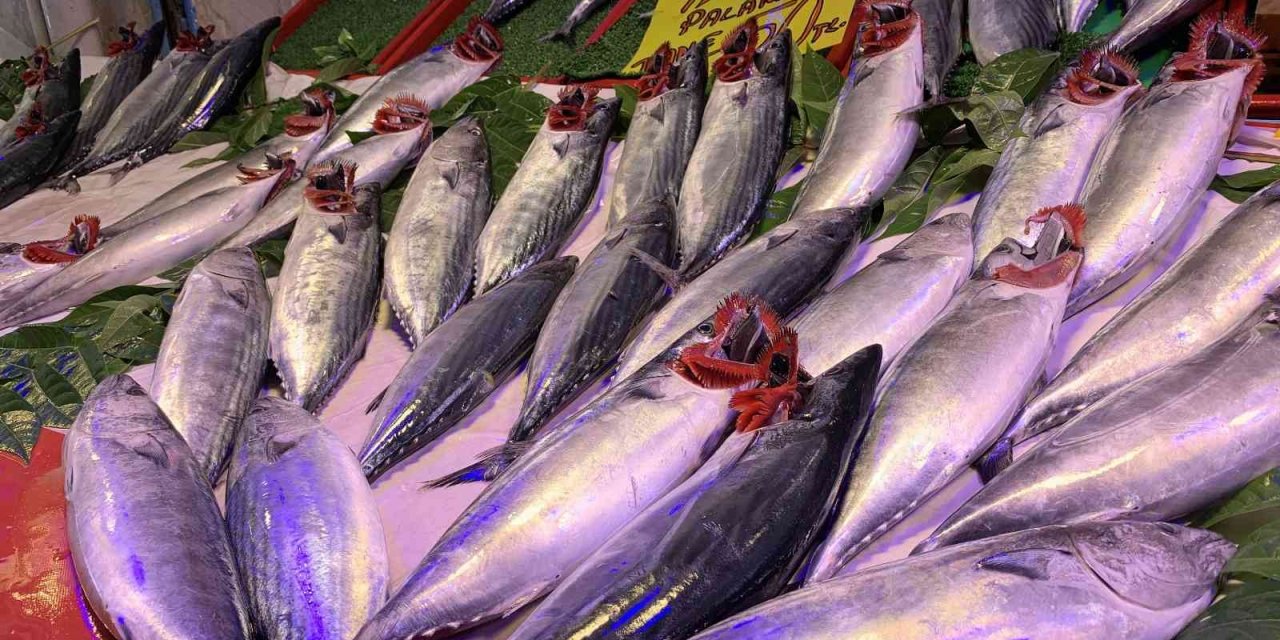 Tezgahlar Palamutla Doldu Taştı, Vatandaş Yoğun İlgi Gösterdi