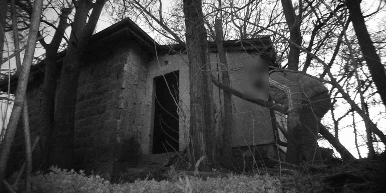 Foto Kapanlara Yaban Hayatı Değil, Hırsızlar Yakalandı