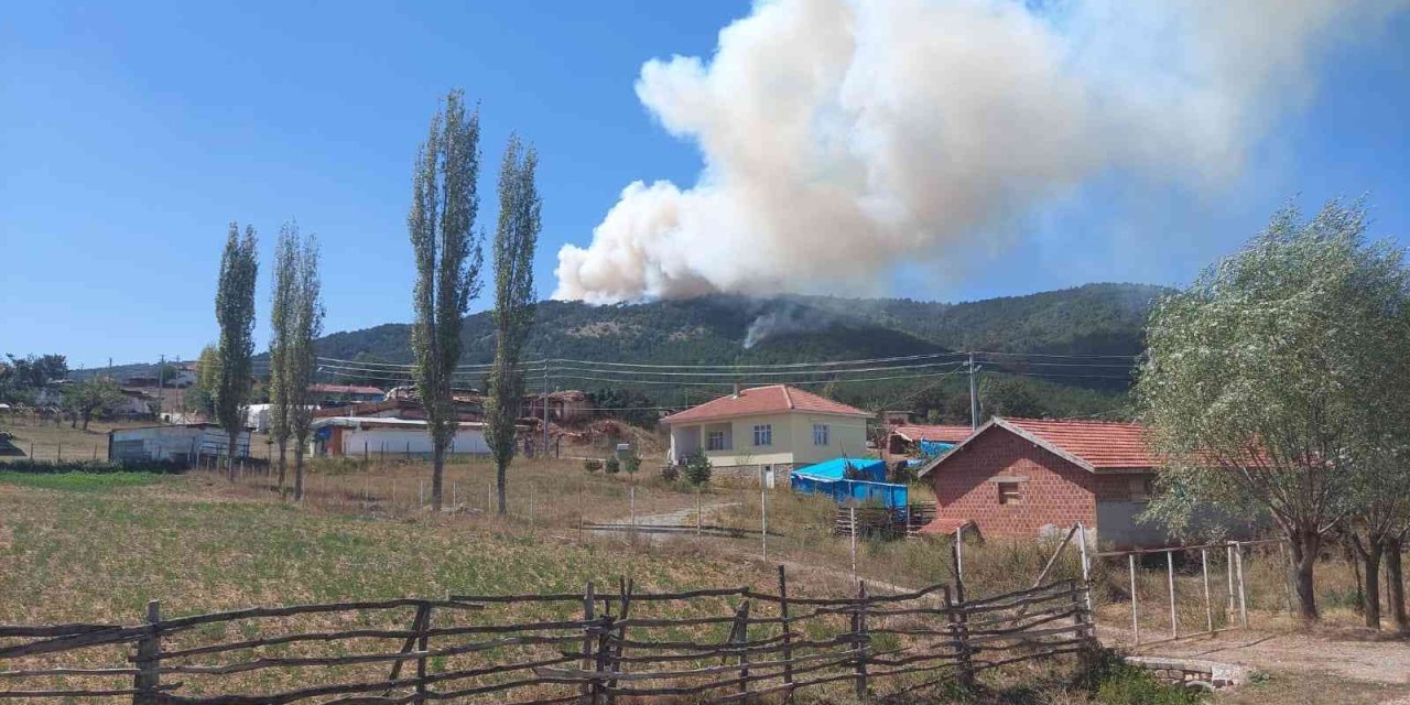 Eskişehir’de Orman Yangını