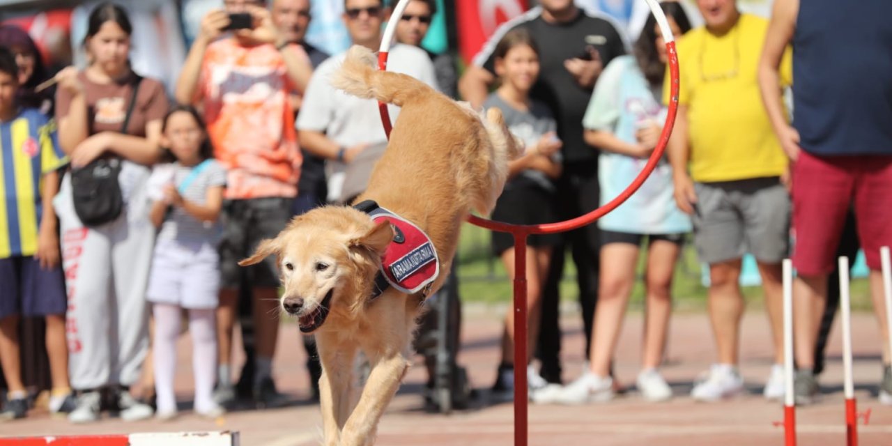 Hobifest 2022 Renkli Görüntülerle Başladı