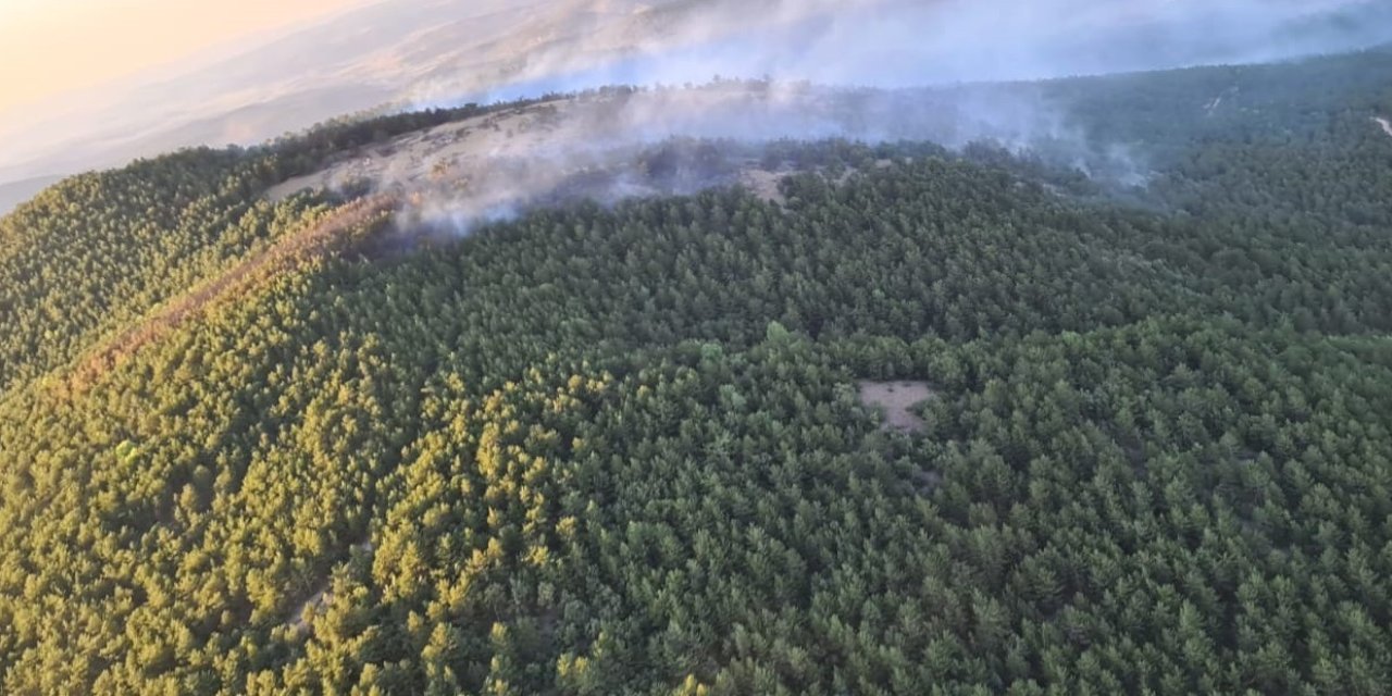 Eskişehir’deki Yangında 10 Hektarlık Meşe Ve Karaçam Ormanı Zarar Gördü