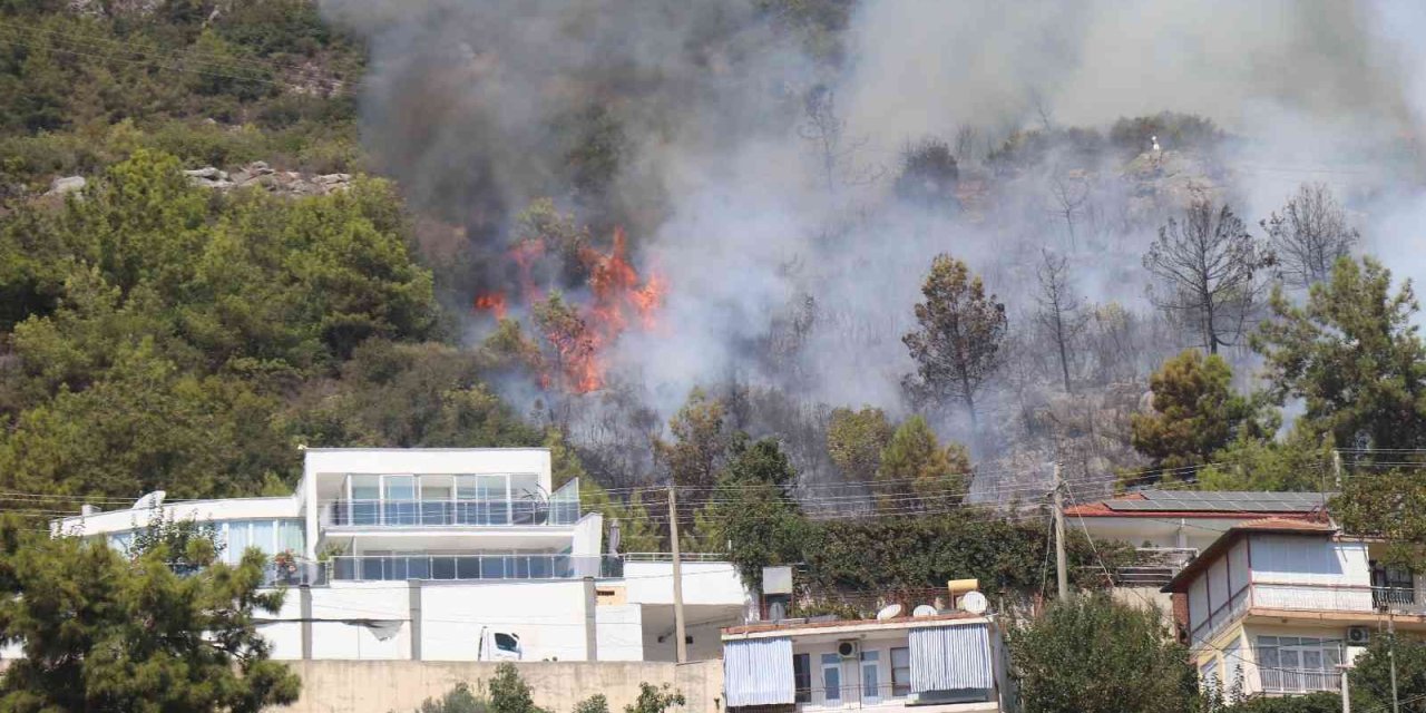 Alanya’da Orman Yangını