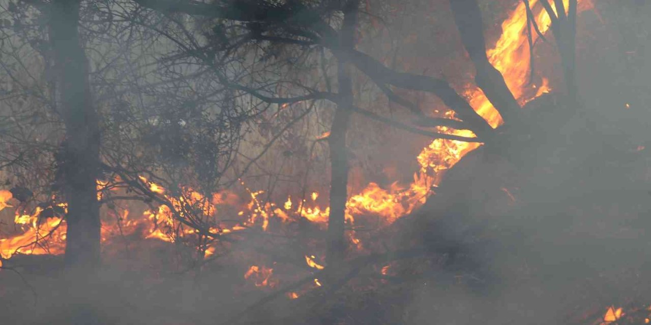 Alanya’da İkinci Orman Yangını Büyümeden Söndürüldü