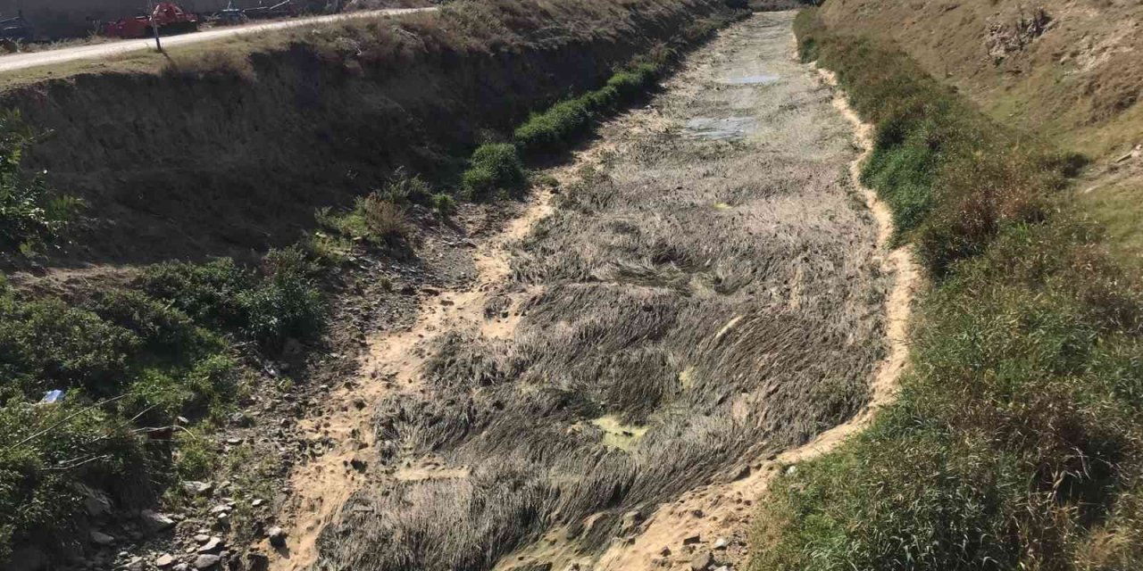 Kanal Tabanındaki Yosunlar Tepki Çekti