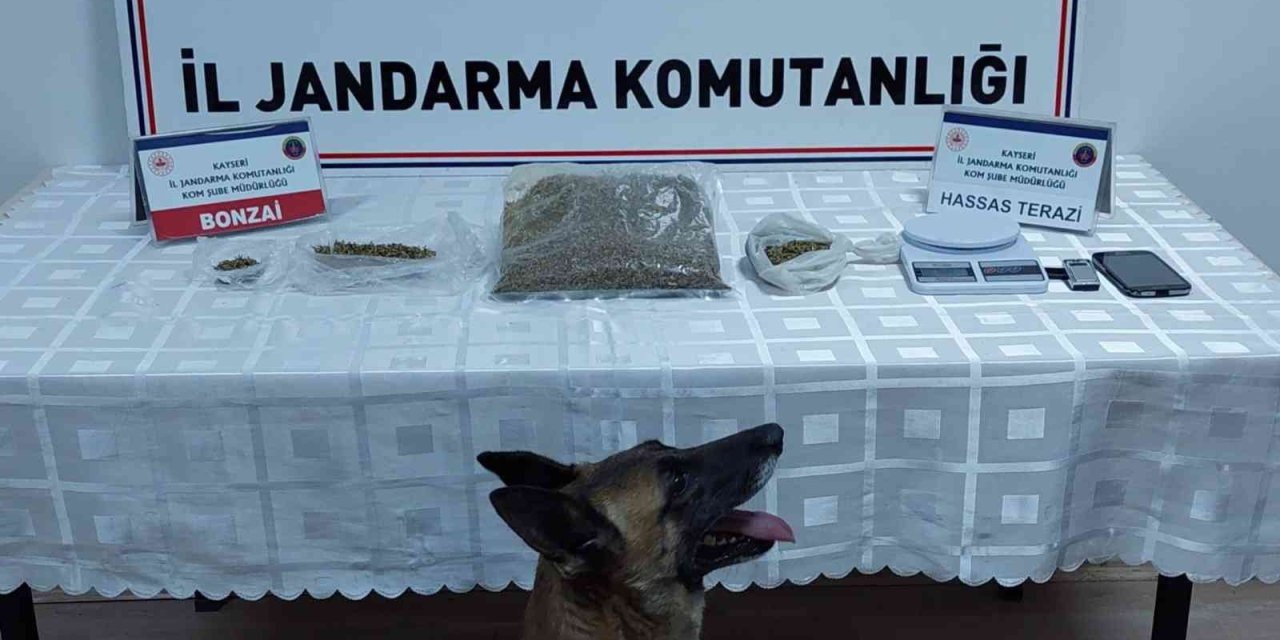 Jandarmadan Uyuşturucu Operasyonu