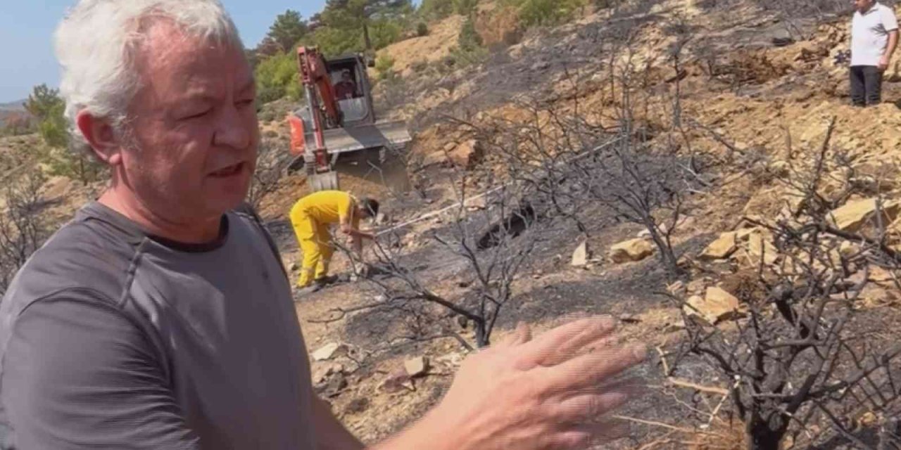 Prof. Dr. Yıldız Dikkat Çekti: “yanan Ormanlardaki En Büyük Tehlike Besin Kaybı”
