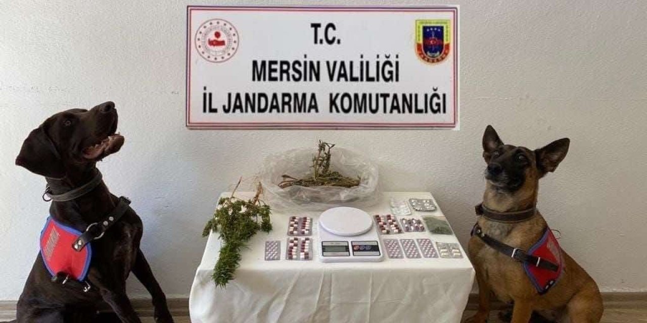 Mersin’de Uyuşturucu Operasyonu: 1 Tutuklama