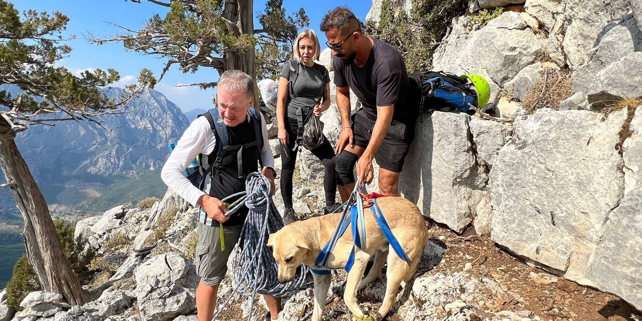 Sokak Köpeğinin Simit Ve Yumurta Vefası Dağcıları Hem Şaşırttı Hem Duygulandırdı