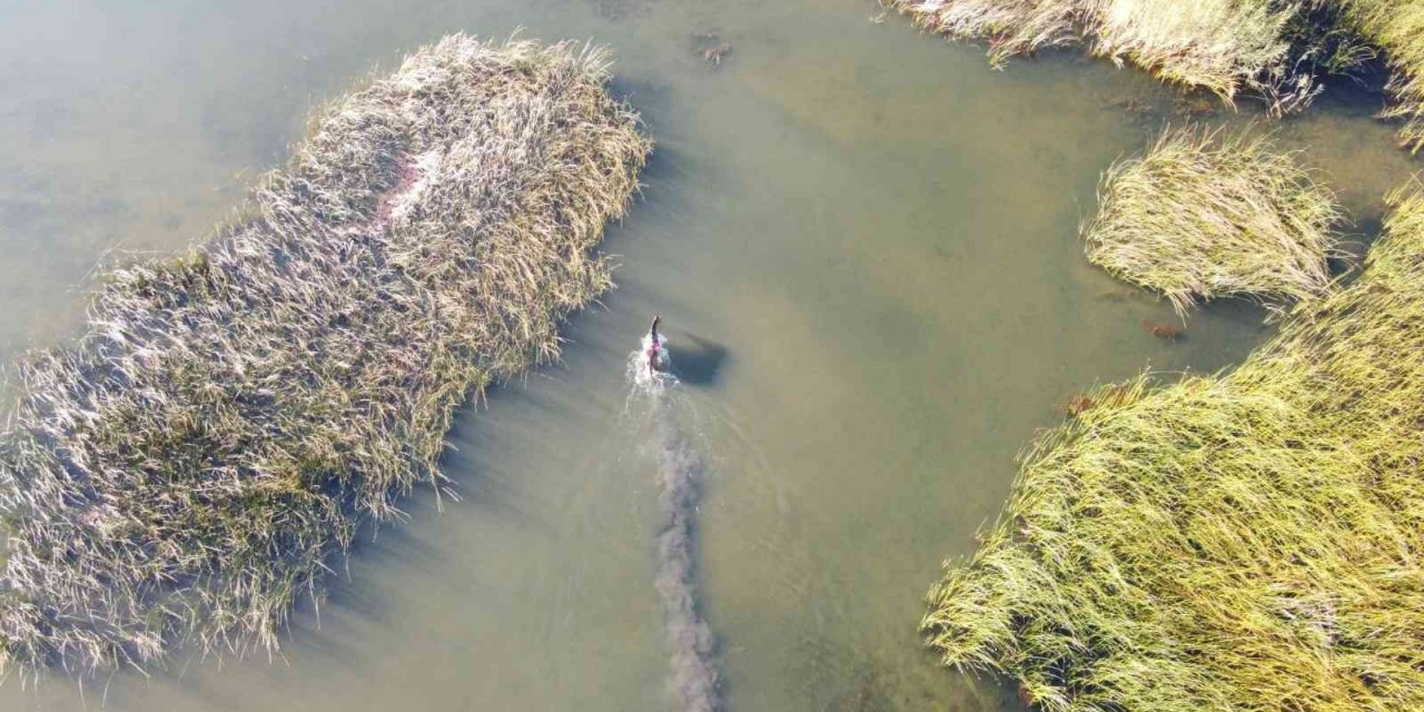 Konya'da At Yarışında Korkutan Kaza