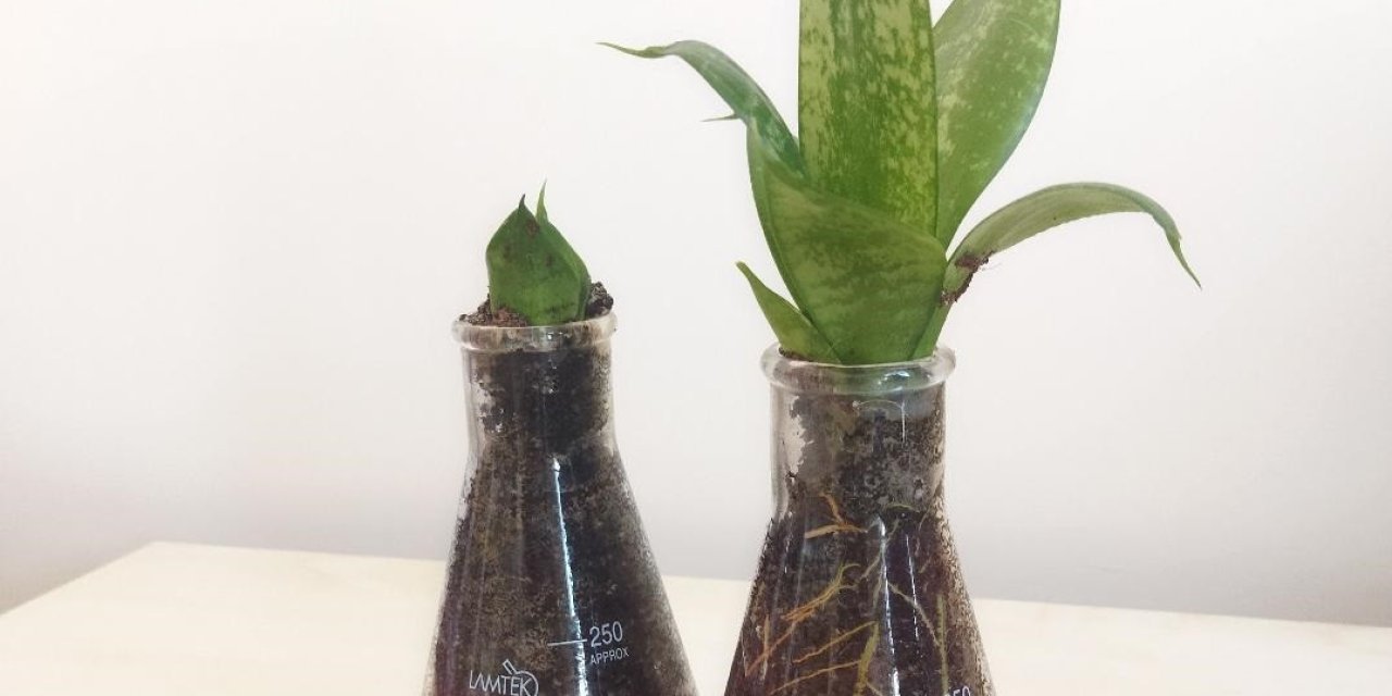 Çevre Sorunlarına Çözüm Üretecek Proje Hibe Desteği Almaya Hak Kazandı