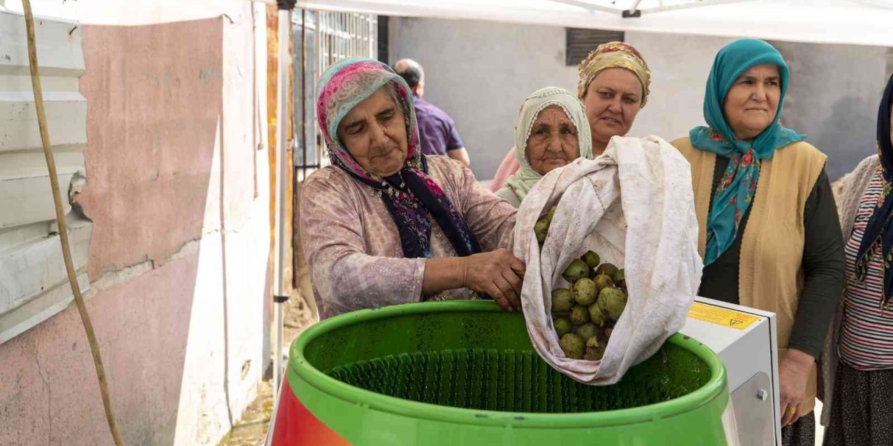 Ceviz Soyma Makinesi Üreticinin Yüzünü Güldürüyor