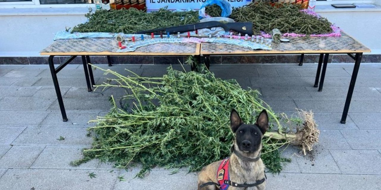 Jandarma Operasyonunda 5 Kilogram Uyuşturucu Madde Ele Geçirildi