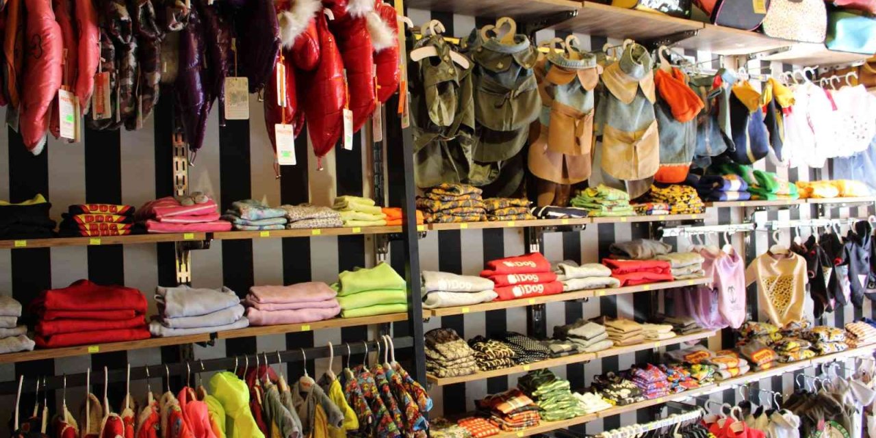 Hava Sıcaklıkların Düşmesi Hayvanseverleri Mevsimlik Kıyafetlere Yöneltti