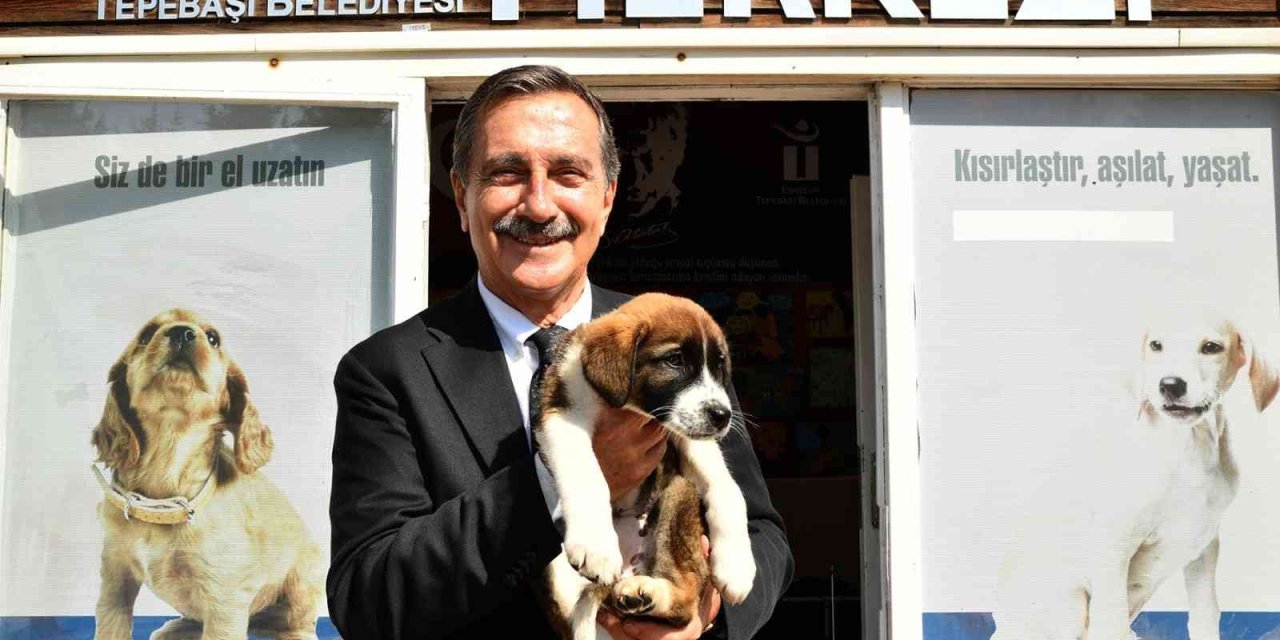 Başkan Ataç’tan “hayvan Hakları Koruma Günü” Mesajı