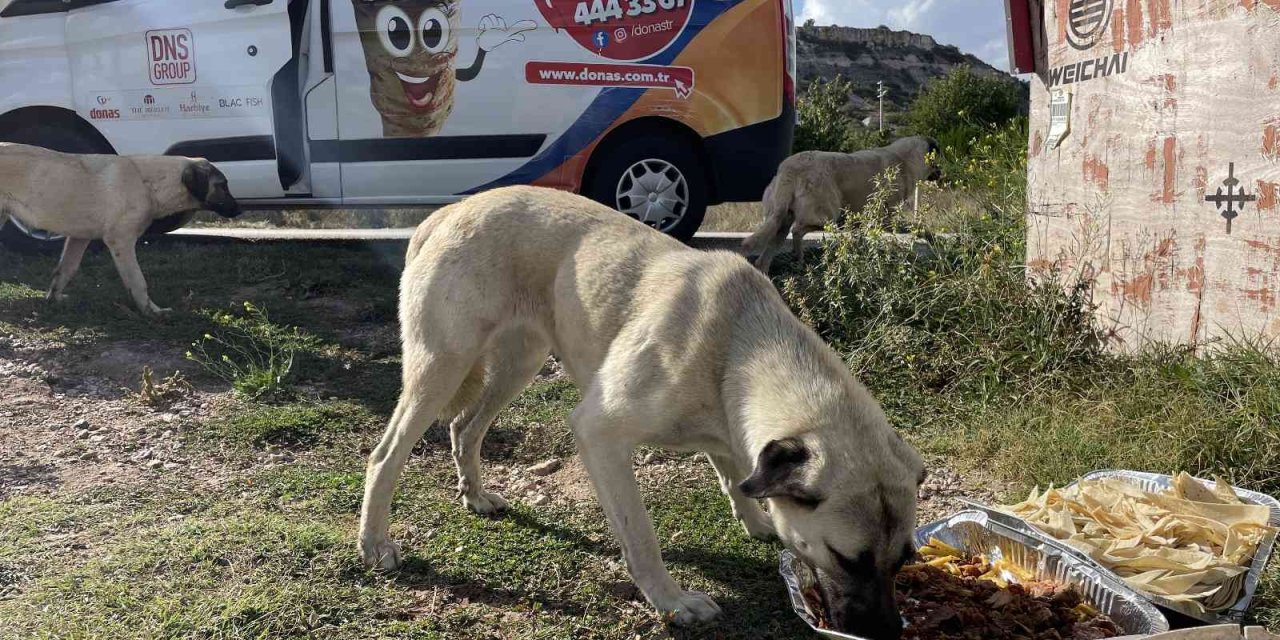 Eskişehirli Firmadan Sokak Hayvanlarına Özel Gün Yemeği