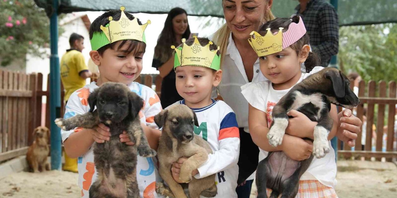 Minikler, Hayvan Dostlarıyla Bir Araya Geldi