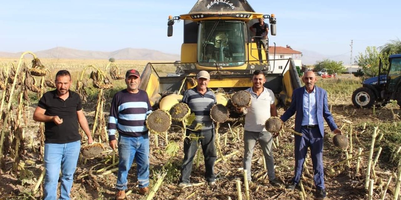 Ayçiçeği Hasadı Çiftçinin Yüzünü Güldürdü
