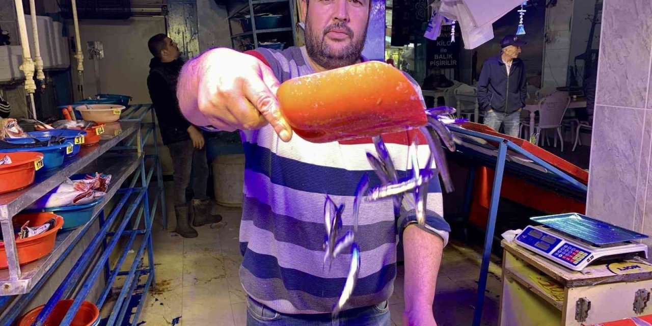 Hamsi, Balık Tezgâhlarını Süsledi