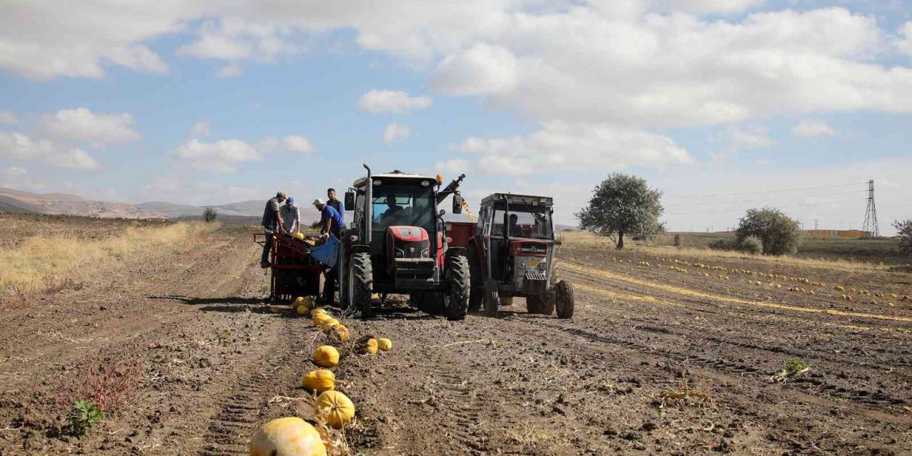 Talas’ta Yemek Posaları Yeme Dönüşüyor